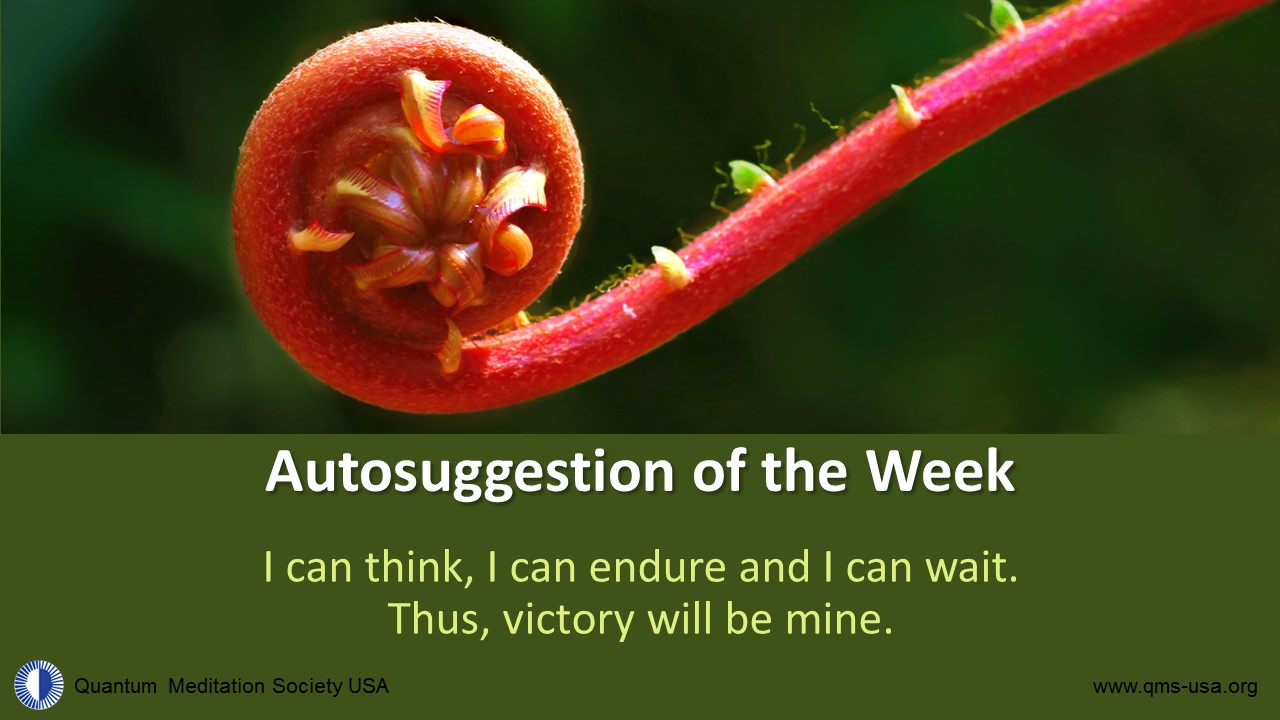 I can think, I can endure and I can wait. Thus, victory will be mine